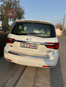 إنفينيتي QX80